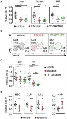 JAK Inhibition Differentially Affects NK Cell and ILC1 Homeostasis